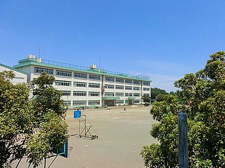 緑豊かで明るい環境に恵まれた公立小学校。充実した環境で子どもの自主性と思いやりの心を育み、地域や保護者の深い絆でその成長を見守ります。