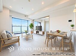 ナイスアーバン新川崎ステイツ
