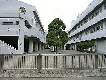 緑豊かで明るい環境にある公立小学校。のびのびとした環境で子どもの自主性と思いやりの心を育み、地域や保護者との温かい絆の中で健やかな成長を見守ります。