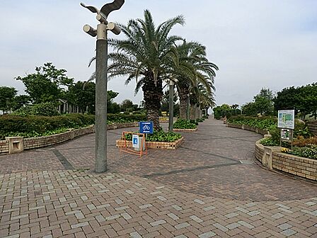 東京湾に面した広大な公園で、遊具やピクニックエリアが整備されています。海を望む美しい景観と広い芝生広場が特徴で、ジョギングや散歩、家族連れに人気です。