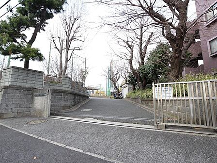 横浜市立一本松小学校まで約290m。