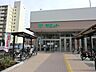 周辺：サミットストア上星川店まで約530m