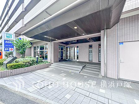 【Entrance】植栽の位置や開放的なエクステリアも含めて美しくトータルにデザインされています。