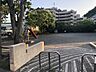 周辺：広めの芝生広場と水飲み・手洗い場がある公園で、子どもが遊び回ったり家族でのんびり過ごせるスペースが整っています。ベンチもあり休憩しながら過ごせる憩いの場として親しまれています