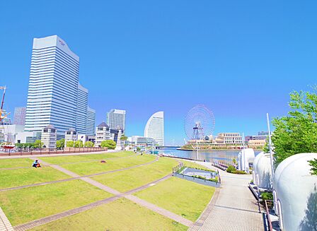 国指定重要文化財の帆船日本丸が保存されており、横浜港の歴史を学べる横浜みなと博物館も併設されています。芝生広場やウォーターフロントの景観が楽しめる憩いの場です。