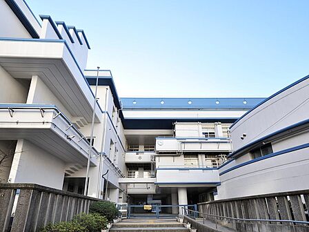 みなとみらい・関内エリアの歴史ある公立小学校。国際色豊かで活気あふれる環境のもと、地域や先進的な取り組みと連携しながら、子どもたちの高い自主性と豊かな人間性を育んでいます。