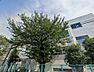 周辺：世田谷区立尾山台小学校(650m)