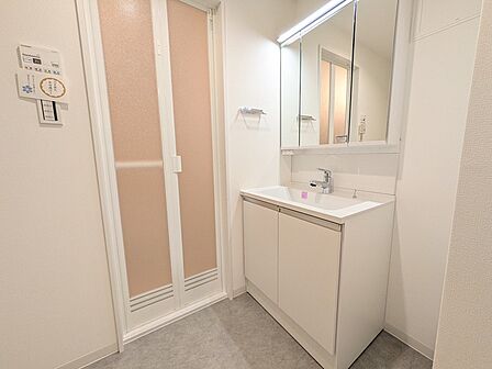 朝の身支度に便利なシャンプードレッサー(新規交換)