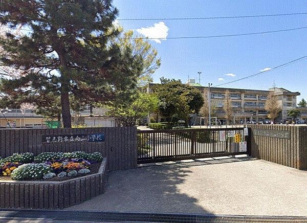 周辺を拡大表示