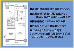 メイツ武蔵小杉富士見台 3LDKの間取図画像