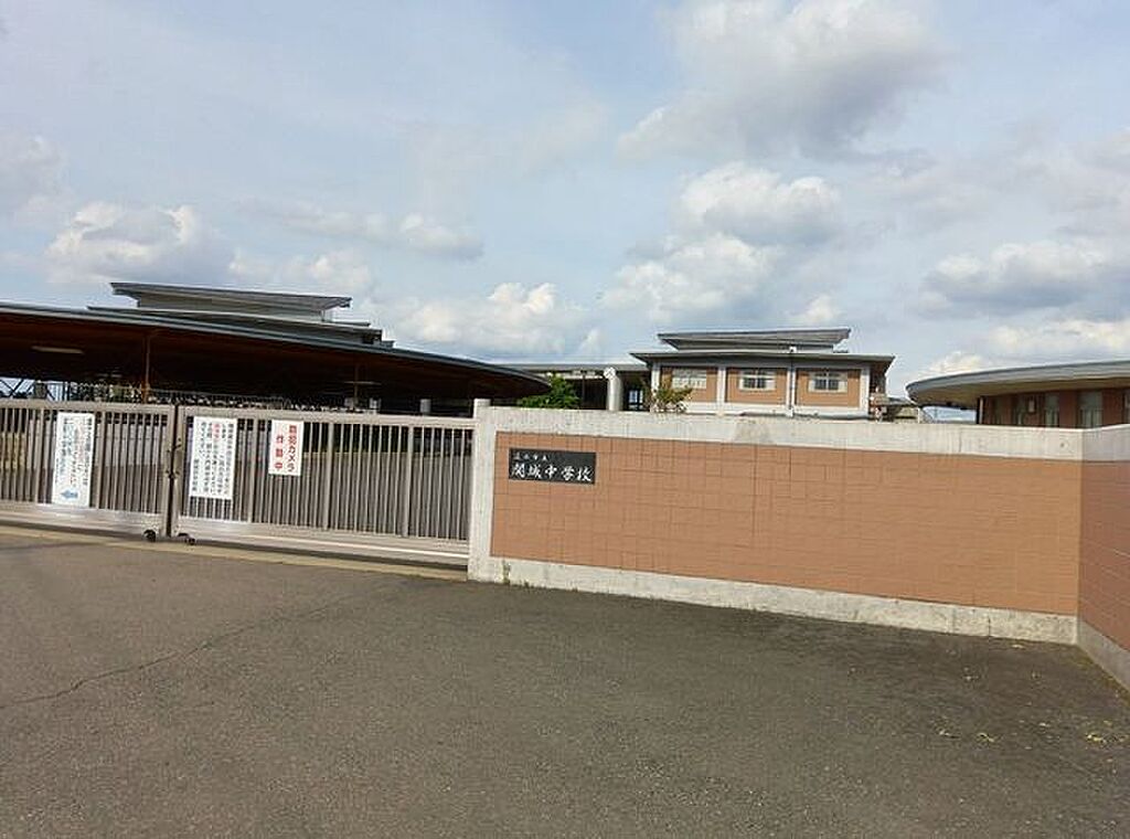 Image 14