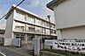 周辺：東光中学校 1550m