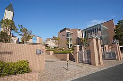フェリス