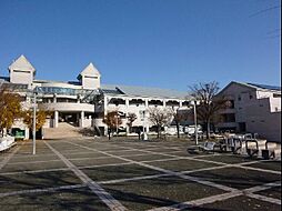 ノーザンライツ