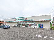 ドラッグセイムス太田南矢島店 1255m