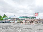 コメリハード＆グリーン藪塚店 2793m
