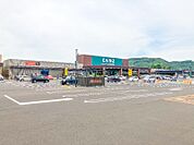 カインズ太田丸山店 3009m