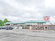 コメリハード＆グリーン藪塚店 1804m