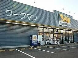カトス　イン　ホルト