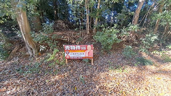その他を拡大表示