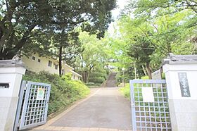 和束ハイツ 1階南側 ｜ 奈良県奈良市西包永町15（賃貸一戸建1K・1階・20.66㎡） その4