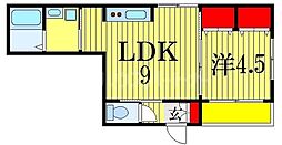 ステラート市川新田 1階1LDKの間取り