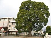 小学校「岡山市立可知小学校まで803ｍ」