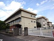 小学校「岡山市立宇野小学校まで767ｍ」