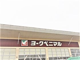 ナトゥラーレ北仙台II 101 ｜ 宮城県仙台市青葉区荒巻神明町20-28（賃貸アパート1LDK・1階・30.59㎡） その17