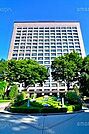 宮城県庁 1163m