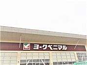 ヨークベニマル遠見塚店 995m