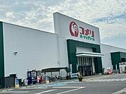 コメリハード＆グリーン京田辺店 730m