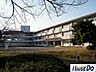 周辺：美園小学校美園小学校 260m
