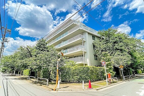 外観/桜の花が...