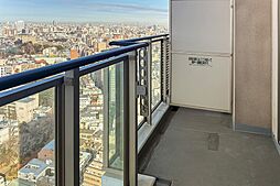 洋室1からのバルコニー。物干し金具が備わっているため、洗濯物を干すときはこちらを使うのがよさそうです。