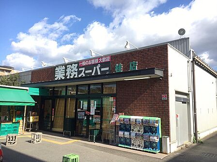 業務スーパー桂店:徒歩3分(約193m)