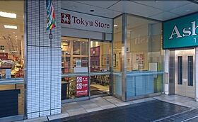 メインステージ立川  ｜ 東京都立川市錦町1丁目（賃貸マンション1K・10階・23.20㎡） その18