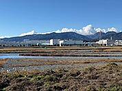 近隣風景