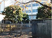 市川市立柏井小学校（1500m）
