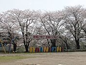四街道市立大日小学校（1305m）
