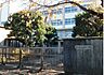 周辺：市川市立柏井小学校（1510m）
