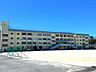 周辺：市川市立下貝塚中学校（576m）