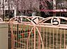 周辺：さくら保育園（294m）