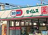 周辺：ドラッグセイムス柏根戸店（839m）