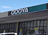 周辺：ODOYA江川店（1680m）