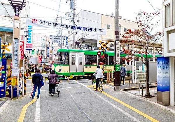 周辺を拡大表示