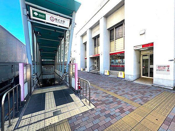 周辺を拡大表示