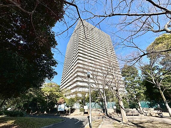 帰宅途中にショ...