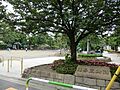 日暮里公園まで...