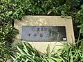 千早第二公園ま...